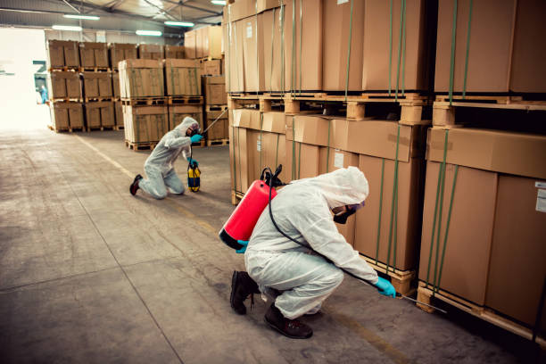 Best Residential Pest Control  in Snyder, OK