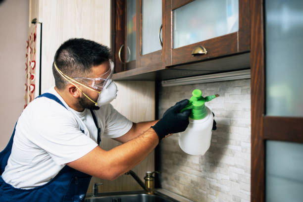 Best Flea Control Services  in Snyder, OK