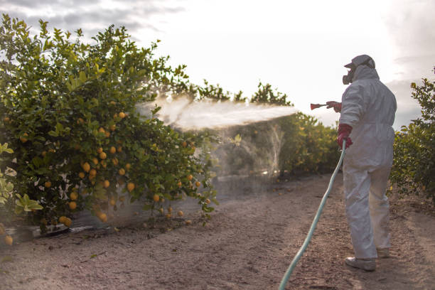 Pest Control Cost in Snyder, OK