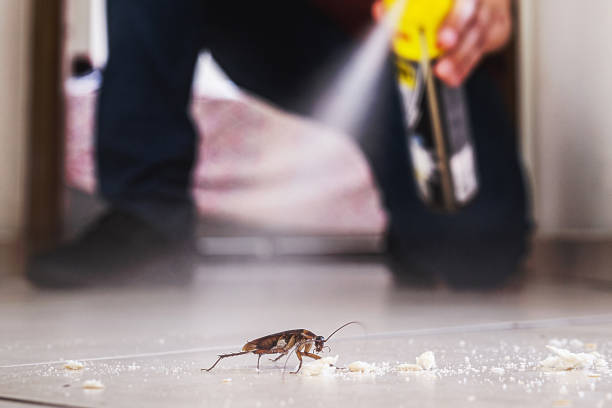 Best Pest Inspection Near Me  in Snyder, OK